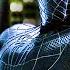 Spider Man Becomes Evil VENOM In SPIDER MAN 3