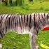 Jungle Mein Ek Ajnabi Sher A Gaya Tha Vah Sher Dekhne Mein Bahut Shant Tha Training Reel Viral