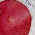 Ang Simpling Gulay Sa Simpling Buhay Breakfast Gulay Food Youtubeshorts Ytbarkadas