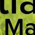 Kevin Macleod Satiate