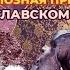 Цирковое шоу Песчаная сказка Гии Эрадзе в Ярославском цирке с 26 Октября по 1 Декабря