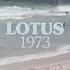 Hoodboi Lotus 1973