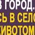 Доярка сирота оставила коровник и уехала в город Но когда Маша вернулась в село беременной