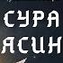 Мухаммаджон кори акамиздан Ясин сураси кироати