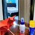 Handmade Umbrella Art Pooja