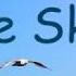 Blue Skies Doris Day Lyrics Bluebirds Singing A Song Nothing But Bluebirds All Day Long