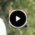 FERRÉ GOLA MUKWANTOMBOLO MODE CLIP OKO YOKA ELOKO DÉCEMBRE