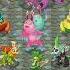 Faerie Island Full Song 4 7 My Singing Monsters