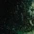 ELUVEITIE Ànv FULL ALBUM STREAM