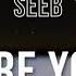 Seeb Before You Go Lyrics