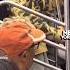VIOLINIST ON THE MTA