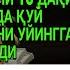 7ДАҚИҚАДАН СЎНГ СИЗ КАТТА МИҚДОРДАГИ ПУЛНИ ОЛАСИЗ ПУЛ ЧАҚИРИШ УЧУН СУРА