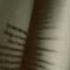 Personally Together Live Or Die Here Together Tower Of Dawn By Sarah J Mass If U Sub I Sub 2 U