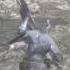 Faraam Knight Arena BKGA 01