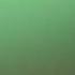 Not Found