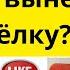 Вы случайно ёлку не забыли вынести Уделяйте время друг другу Закупаемся едой в EDEKA NORMA LIDL