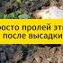 Просто пролей этим после высадки томаты огурцы дача огород сад подкормка томаты огурцы