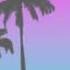 PHOROMANE TRAP MIX