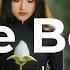 A Small Miracle 100 Free Music No Copyright Music Freemusic Beats Lovebeats Piano