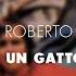 Roberto Carlos Un Gatto Nel Blu Áudio Oficial