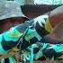 Dj Mombochi Mbongo Nakati Rouge