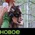 Почему новая любовь новое ГОРЕ Shorts