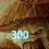 Osu Infected Mushroom The Pretender