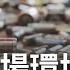 將成另一場 環境浩劫 2026電動車 心臟汰役潮 廢棄 電池墳場 疑成災難 小林村用能源重生 轉生術 反成綠電起點 苑曉琬 主持 薪動大未來 完整版 20230327 三立iNEWS