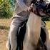 Islamic Nasheed And Horse Riding