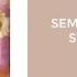 Semi Classic Barbie Songs Playlist With Lyrics