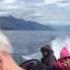 Whale Watching In Juneau Alaska 05 26 2016