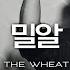 밀알 The Wheat