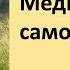 РАССЛАБЛЕНИЕ В РОДАХ И МЕДИТАЦИЯ ГИПНОРОДЫ МЯГКИЕ РОДЫ БЕЗ БОЛИ