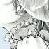 Lucia Natsu To Batsu Jou COVER Legendado PT BR