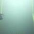 Code Geass R2 Ending Zero Requiem
