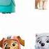 PAW Patrol Rescue World Marshall Rubble Chase Zuma Rocky And Skye Ryder Pawpatrol