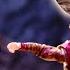 How To Train Your Dragon Trailer But With TOYS