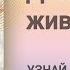 Чего ты хочешь от жизни Как понять своё предназначение