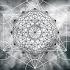 The Violin Effect Original Mix