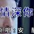 我的情深你若懂 安静 主唱 KARAOKE