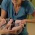 1 Simple Solutions For Your Gassy Baby Expert Tip For Relieving Your Babys Gas Pain