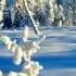 Волшебная музыка зимы Падал снег Music Sergey Chekalin Very Beautiful Music