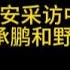 从建商角度谈谈王志安采访中的李承鹏和野夫