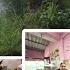 Barsa Dha Time G E Onji Place G Popina Miss Malpuji Yan ಆಗ ಬ ಘ ಟ Thudardhabolpu Travel