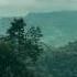 WGH Poetry Thekkady Hotel Amazing Amazingmemes Love Song Cakenkitchen Hostel Hostellife