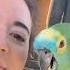 Biiiiiiirthdaaaaaayyyyyy Shorts Parrot Birthday Maya Mayahiga Alveus