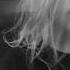 Michael Kratz This Town Is Lost Without You Official Video