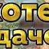Дискотека на Даче 2023