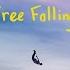 Free Fallin Acoustic
