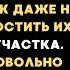 Мои родители подарили нам дачу и 1 миллион на ремонт Когда они приехали муж пожалел им ягод